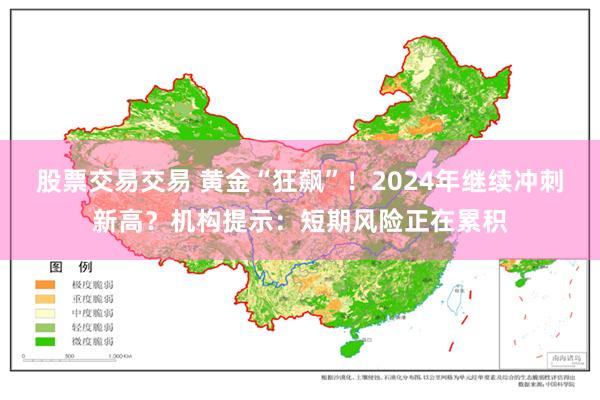 股票交易交易 黄金“狂飙”！2024年继续冲刺新高？机构提示：短期风险正在累积