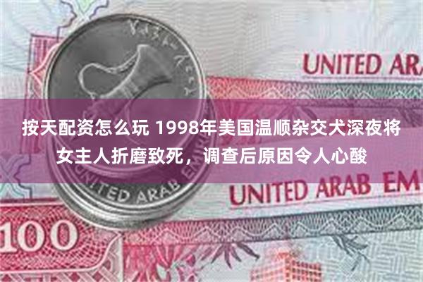 按天配资怎么玩 1998年美国温顺杂交犬深夜将女主人折磨致死，调查后原因令人心酸