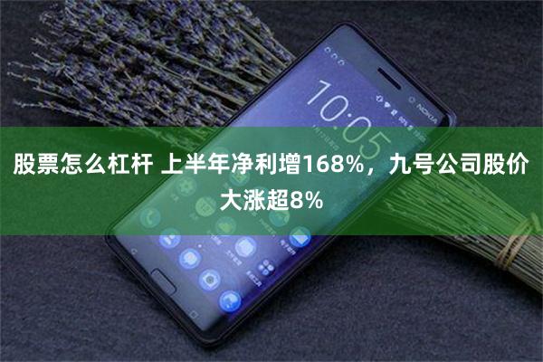 股票怎么杠杆 上半年净利增168%，九号公司股价大涨超8%