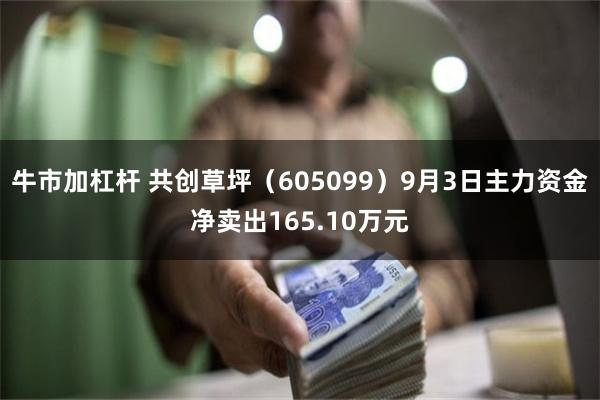 牛市加杠杆 共创草坪（605099）9月3日主力资金净卖出165.10万元