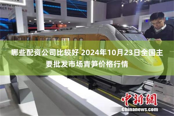 哪些配资公司比较好 2024年10月23日全国主要批发市场青笋价格行情