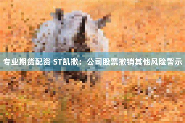 专业期货配资 ST凯撒：公司股票撤销其他风险警示