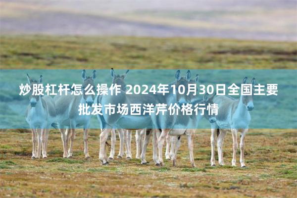 炒股杠杆怎么操作 2024年10月30日全国主要批发市场西洋芹价格行情