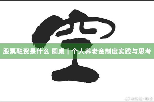 股票融资是什么 圆桌｜个人养老金制度实践与思考