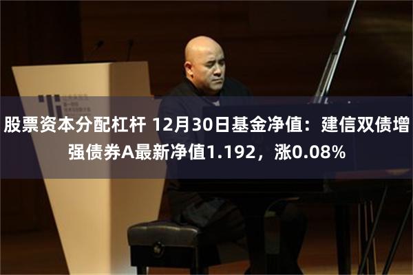 股票资本分配杠杆 12月30日基金净值：建信双债增强债券A最新净值1.192，涨0.08%