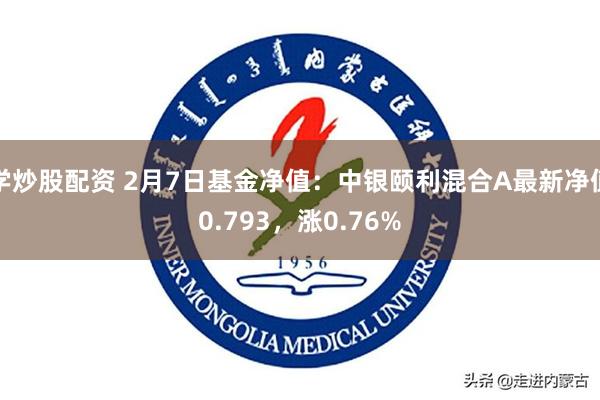 学炒股配资 2月7日基金净值：中银颐利混合A最新净值0.793，涨0.76%