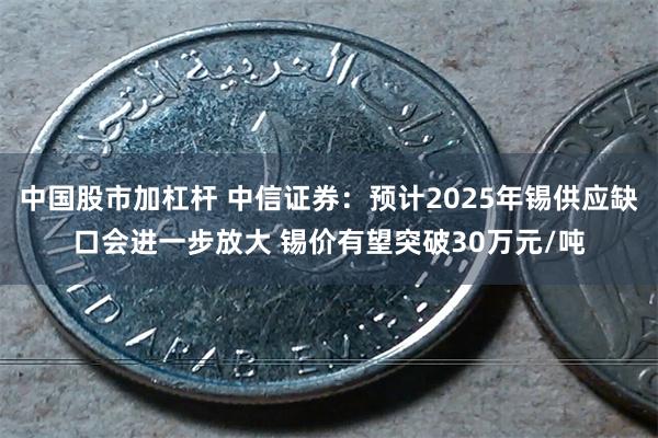 中国股市加杠杆 中信证券：预计2025年锡供应缺口会进一步放大 锡价有望突破30万元/吨